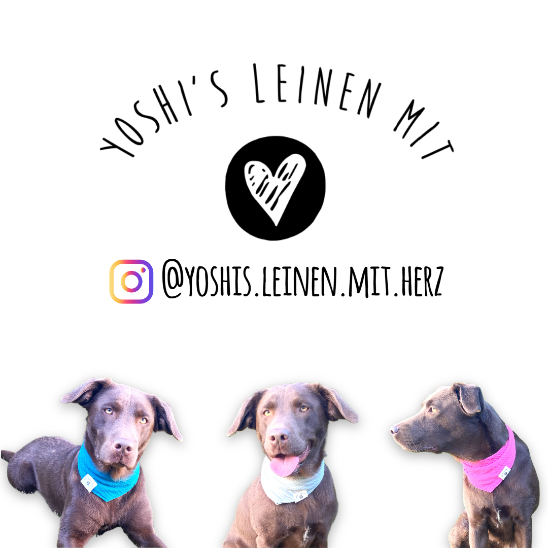 Hund mit handgemachtem Musselinhalstüchern in Magenta und Petrol und Mintgrün. Passend zu Biothane Hundeleinen und Halsbändern. Instagram @yoshis.leinen.mit.herz